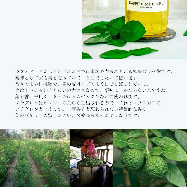 精油カフィアライム・リーフ Kaffir Lime Leaf／エッセンシャルオイル