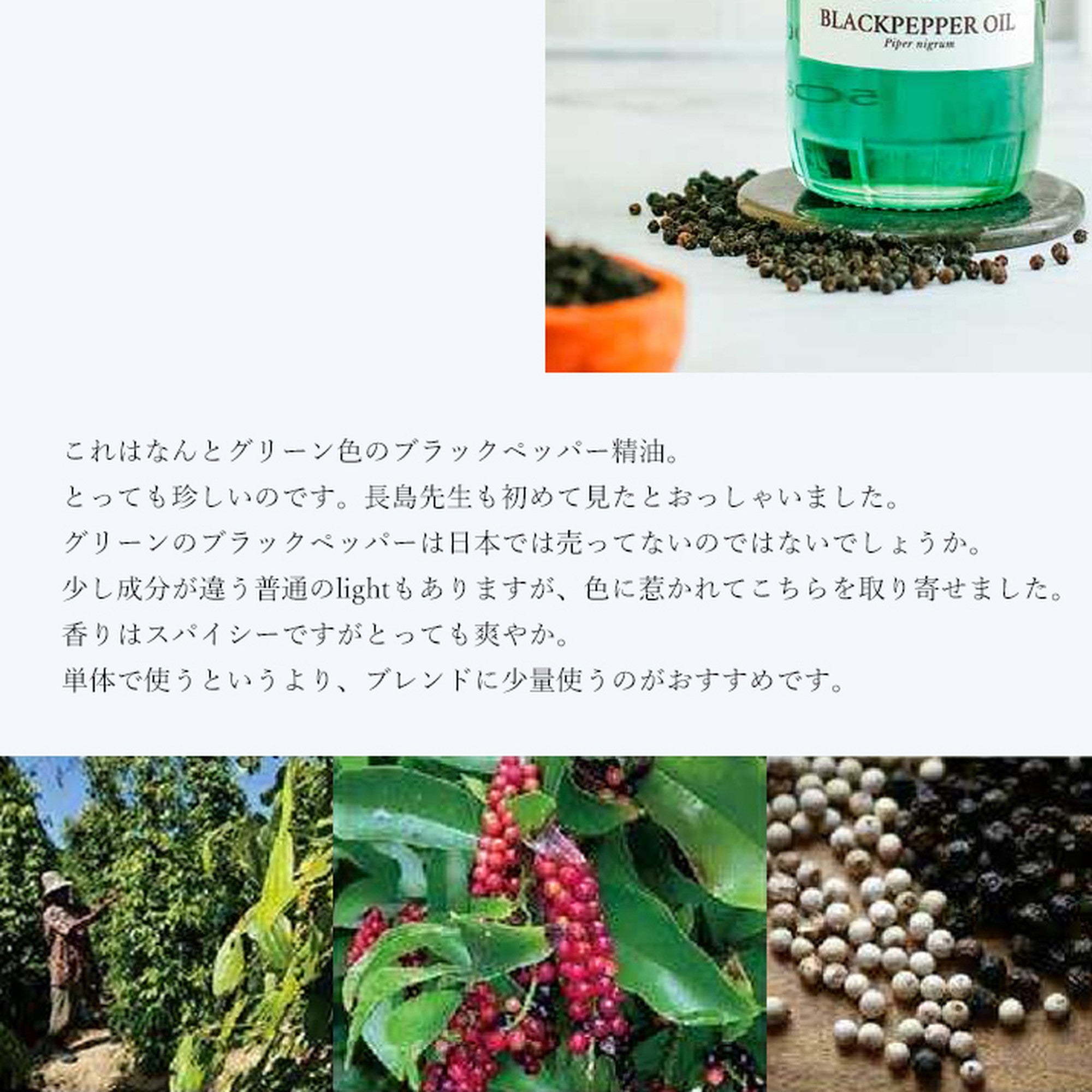 精油ブラックペッパー（グリーン）Black Pepper (Green